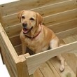 How To Make a Dog House